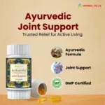 Arthrohills 60 Soft Capsules | Traditional Herbal Wellness Support - Image 3