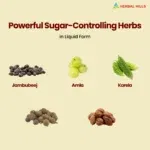 Diabohills – Ayurvedic Sugar Wellness Tablets – 900 Tablets - Image 3