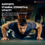 Ayurvedic Medicine for Energy and Stamina - Men's Health Supplement - 700 Shilajit Capsules - Image 3
