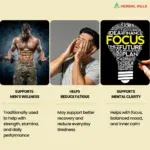 Ayurvedic Medicine for Energy and Stamina - Men's Health Supplement - 700 Shilajit Capsules - Image 4
